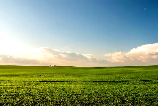 Violet Hill