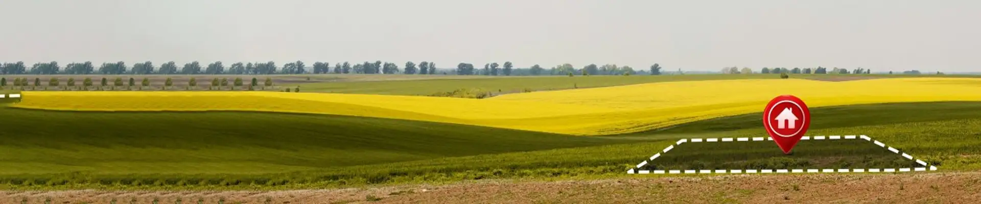 Violet Hill