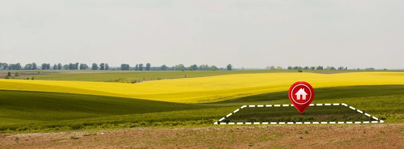 Violet Hill